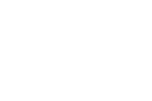dsquared2